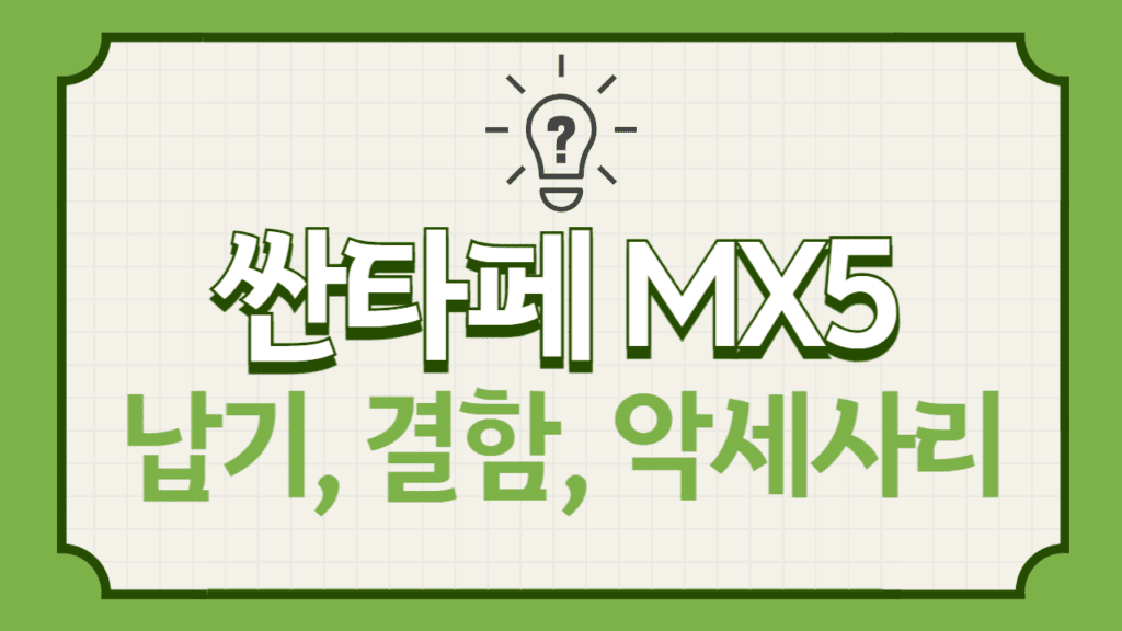 싼타페MX5
